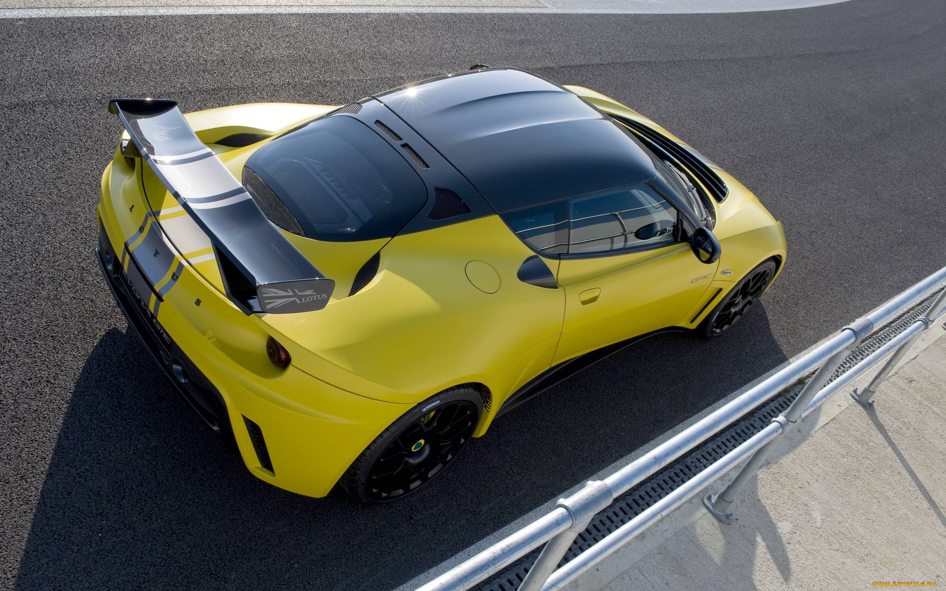 , lotus